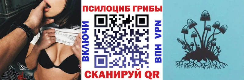 как найти наркотики  кракен   Псилоцибиновые грибы прущие грибы  маркетплейс как зайти  Кондопога 