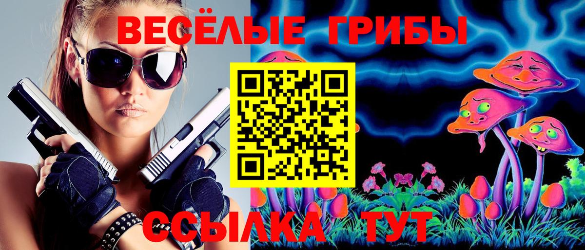 Галлюциногенные грибы мицелий  Кондопога 