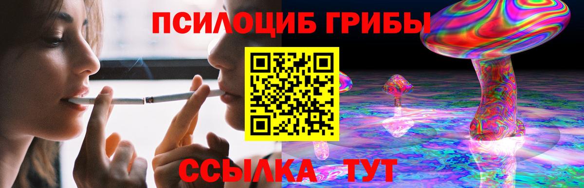 Галлюциногенные грибы прущие грибы Кондопога